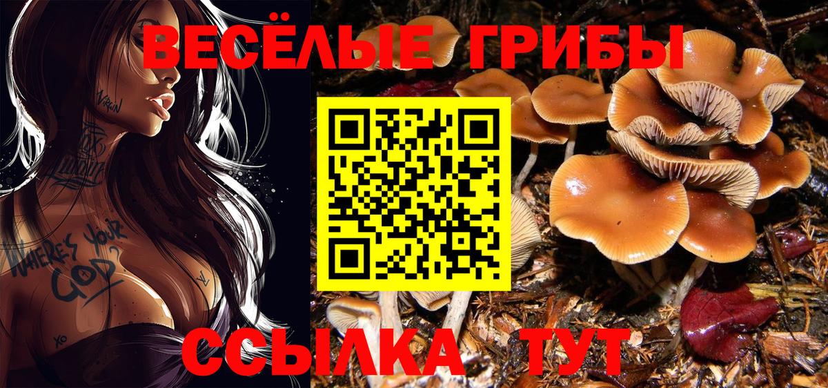 Галлюциногенные грибы Cubensis Долгопрудный